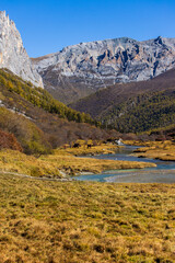 Colorful in autumn forest and snow mountain at Yading nature reserve