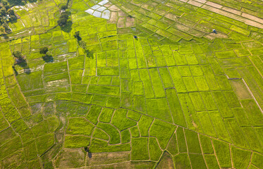 Top view Terraced rice field  Northern Thailand