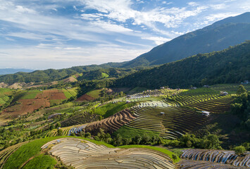 Top view Terraced rice field at Mae Cham Chiangmai Northern Thailand