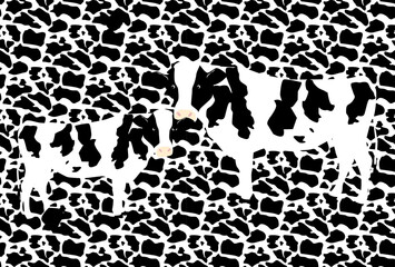 2021年丑年年賀状-親子のホルスタイン・乳牛柄背景