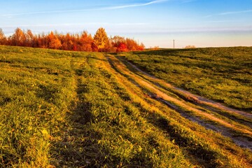 A country dirt road through a green meadow leads to a grove of autumn trees with bright red foliage.