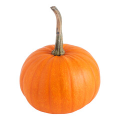 Pumpkin isolated on white background. Orange ripe pumpkin.