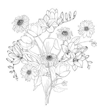 A bouquet of daisies, dahlias, tulips and freesias. Flowers black and white art line in vector.
