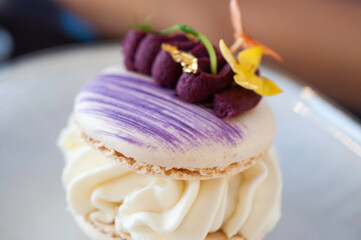 Single macaron with white chocolate