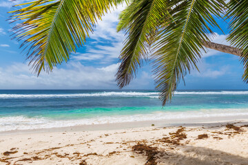 Paradise beach with white sand and coco palms. Summer vacation and tropical beach concept.