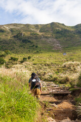 秋の伊吹山　登山風景