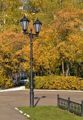 metal lamppost in the park