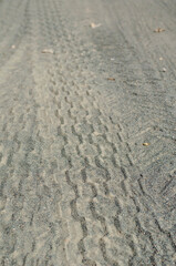 Tire tracks on the gray sand.