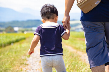 Obraz premium 手をつなぐ幼児