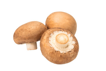 Tasty mushroom isolated on white background.