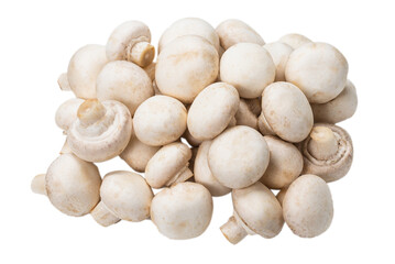 Champignon mushroom isolated on white background.