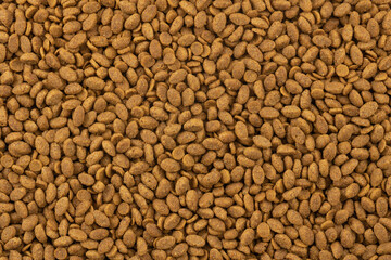 Food for animals background. Dry cat and dog food texture. Pet meal background close up