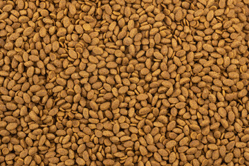 Food for animals background. Dry cat and dog food texture. Pet meal background close up