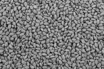 Food for animals background. Dry cat and dog food texture. Pet meal background close up