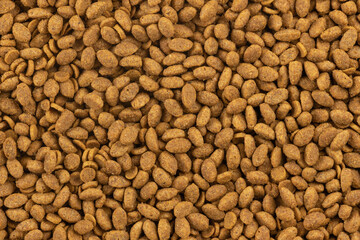 Food for animals background. Dry cat and dog food texture. Pet meal background close up