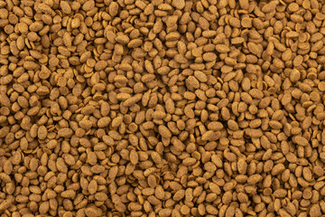 Food for animals background. Dry cat and dog food texture. Pet meal background close up