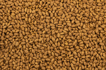 Food for animals background. Dry cat and dog food texture. Pet meal background close up