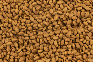 Food for animals background. Dry cat and dog food texture. Pet meal background close up