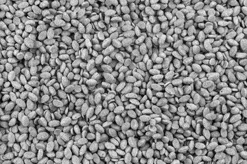 Food for animals background. Dry cat and dog food texture. Pet meal background close up