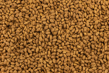 Food for animals background. Dry cat and dog food texture. Pet meal background close up