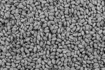 Food for animals background. Dry cat and dog food texture. Pet meal background close up