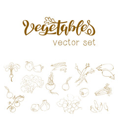Fototapeta premium Set of vector illustrations of vegetables in sketch style. Pepper, onion, garlic, green peas, celery root, beets, tomatoes on a branch, carrots, radish bunch, eggplant. Hand lettering vegetables.