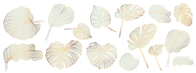 Küchenrückwand glas motiv Gold and luxury tropical leaves vector. Abstract exotic plan, tropical leaf palm,Monstera leaf vector design elements on the white background. © TWINS DESIGN STUDIO