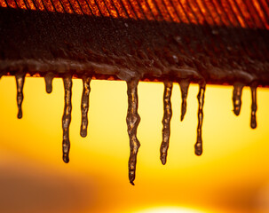 Icicles in winter in the rays of the dawn of the sun.