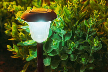 Decorative Small Solar Garden Light, Lantern In Flower Bed. Garden Design. Solar Powered Lamp.