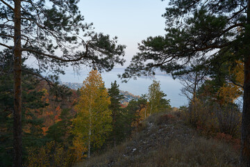 Autumn view from the mountain to the big river, in the forest with Golden leaves and green fir trees. Autumn time in the forest.