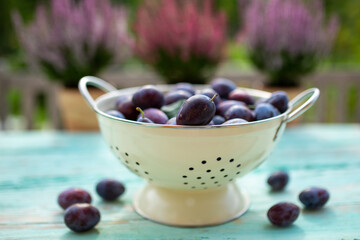 Ripe plums on the garden table.