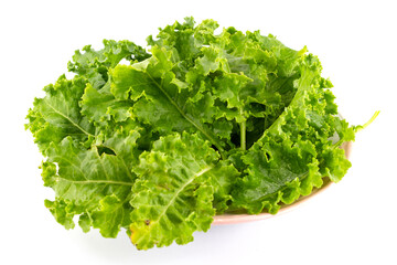 kale leafy vegetable closeup on white background.