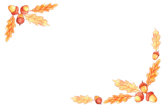 Natural Design Collection - Frame, Corner Watercolor Elements Made Of Acorns, Oak Leaves. Autumn Forest Decoration. Happy Fall