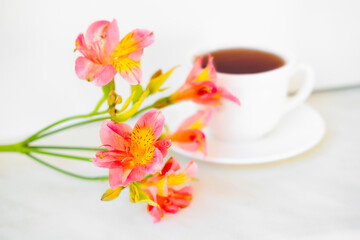 cup of tea with flowers. alstroemeria and a cup of tea.  morning breakfast. beautiful still life.  flatlay in light colors