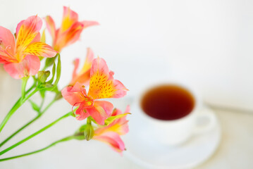 cup of tea with flowers.  alstroemeria and a cup of tea.  morning breakfast. beautiful still life.  flatlay in light colors