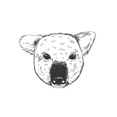 Animal head koala sketch graphic. Cute monochrome color, isolated in white background.