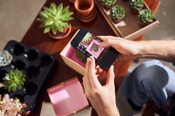 Male florist taking photos of cactuses