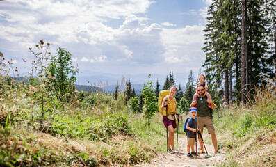 Family with small children hiking outdoors in summer nature.