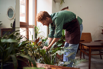 Florist taking care about plants