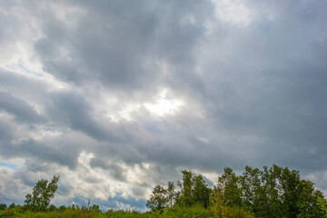The edge of a lake in a green windy rainy wetland in spare sunlight under a grey white cloudy sky in autumn, Almere, Flevoland, The Netherlands, October 4, 2020