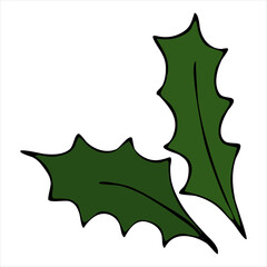 Naklejka premium green sprig of holly, vector element in doodle style, symbol of christmas