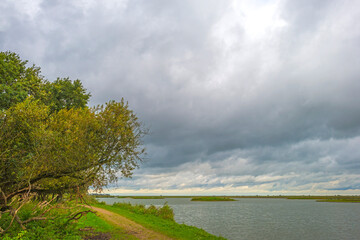 Fototapeta na wymiar The edge of a lake in a green windy rainy wetland in spare sunlight under a grey white cloudy sky in autumn, Almere, Flevoland, The Netherlands, October 4, 2020