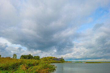 The edge of a lake in a green windy rainy wetland in spare sunlight under a grey white cloudy sky in autumn, Almere, Flevoland, The Netherlands, October 4, 2020