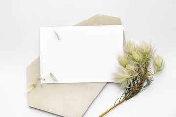 Composition with blank card on white background