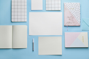 Blank cards and notebooks on color background