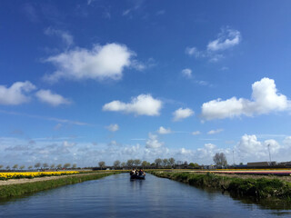 Fototapeta premium boat on the river near lake and flowers against blue sky at sunny day, North Holland Netherlands