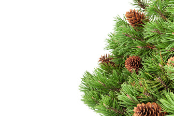 Christmas greeting card with fir tree isolated on white