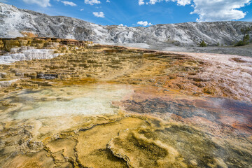hydrothermal areas of mammoth hot springs in yellowstone national park, wyoming in the usa