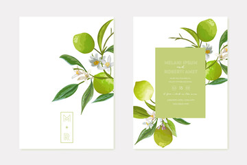 Invitation wedding lime vector card, vintage Save the Date, template design of limes, citrus fruit, flowers and leaves