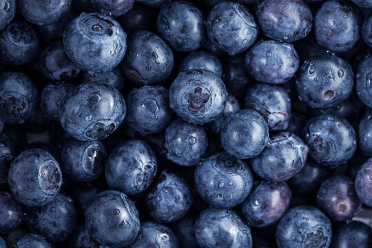 Fresh,dewy, ripe blueberries